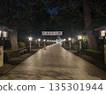 The road to Samukawa Shrine at night 135301944