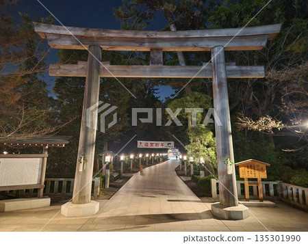 The torii gate of Samukawa Shrine at night 135301990