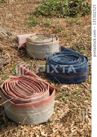 Lightweight hoses on rose farm for water spray 135302525