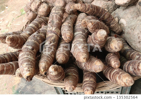 Taro root stock on shop for sell are cash crops 135302564