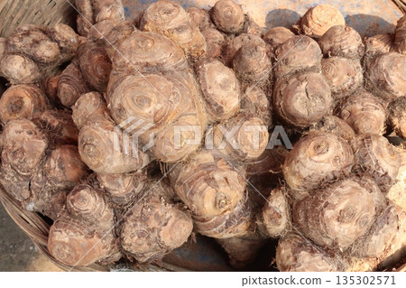 Taro root stock on shop for sell are cash crops Taro root stock on shop for sell are cash crops 135302571