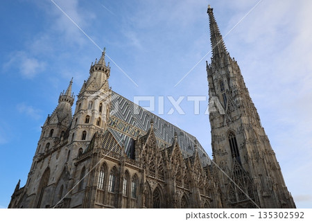 Stephen's Cathedral, a World Heritage Site in Vienna, Austria 135302592