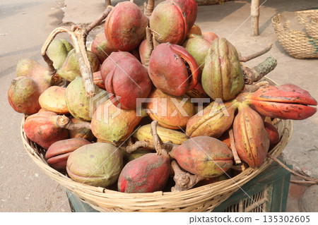 Sterculia foetida on shop for sell 135302605