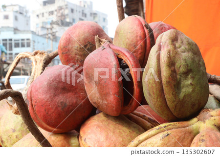 Sterculia foetida on shop for sell 135302607