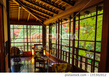 Autumn leaves seen from the window 135302812