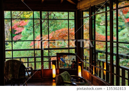 Autumn leaves seen from the window 135302813