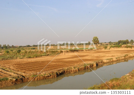 Agricultural land field with drains and rows 135303111