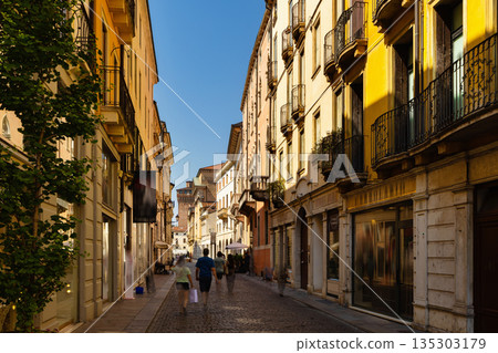 Narrow tunnel street in Vicenza, northeast Italy Narrow tunnel street in Vicenza, northeast Italy 135303179