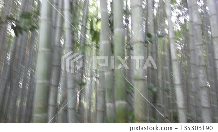 The sky seen through the gaps in the bamboo forest 135303190