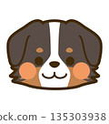 伯恩山犬臉部圖標 135303938