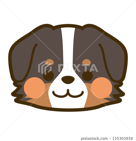 Bernese Mountain Dog face icon 135303938