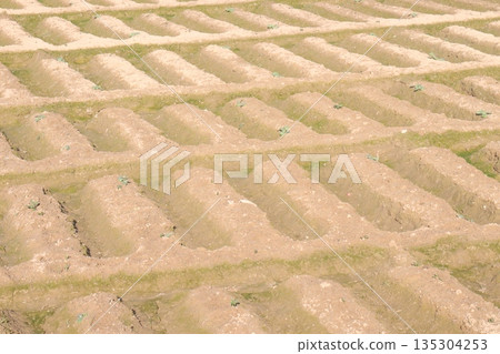 Agricultural land field with drains and rows 135304253