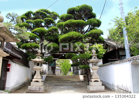 Tenneiji Temple in the Three Mountains of Onomichi Tenneiji Temple in the Three Mountains of Onomichi 135304322
