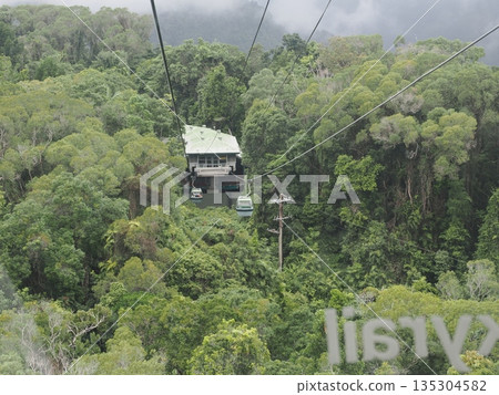 Aerial view of the Skyrail Gondola, a path through the forest Aerial view of the Skyrail Gondola, a path through the forest 135304582
