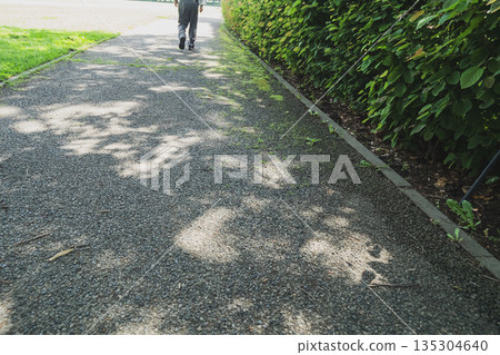 walk, walks, senior 135304640