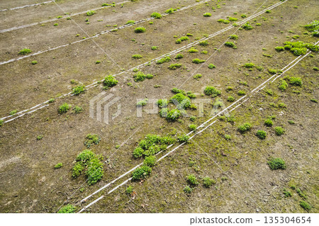 田徑賽場 土地 地面 135304654