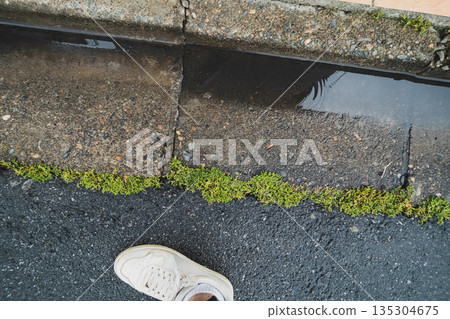下雨 雨 多雨 135304675