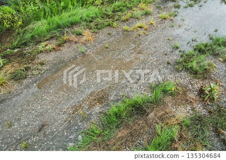 puddle, pool of water, waterhole 135304684