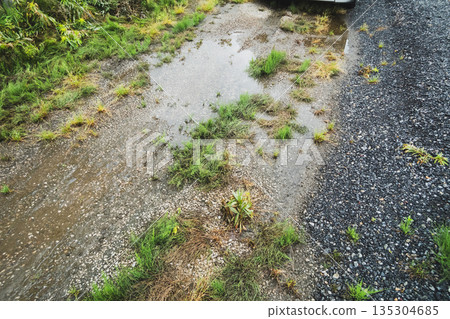 puddle, pool of water, waterhole 135304685