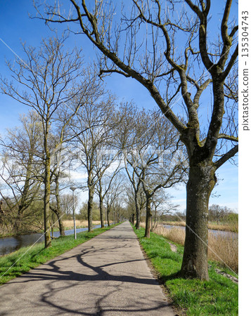 Spring buds begin to appear on the trees and the scenery spreads out under the blue sky 135304743