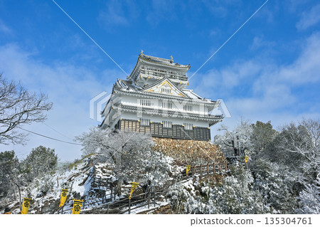 Gifu Castle Tower and Snow Scene 135304761