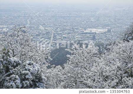 從岐阜城眺望:雪景 從岐阜城眺望:雪景 135304763