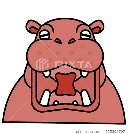 Cute illustration of a hippopotamus with its mouth wide open 135304797