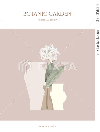 Medicinal Kopsia flowers with leaves in vase 135305636