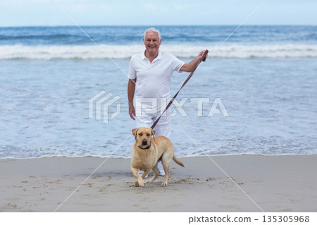 Senior man holding brown leash and standing ankle-deep at ocean edge with Labrador retriever 135305968
