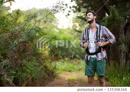 Man hiking along dirt trail under tall tree trunks, wearing backpack with chest straps, copy space 135306168