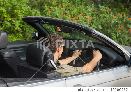Silver convertible showing steering wheel on roadside against hedge dotted with orange flowers Silver convertible showing steering wheel on roadside against hedge dotted with orange flowers 135306382