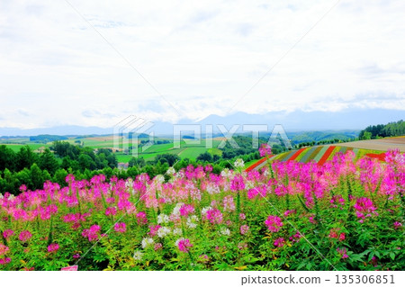 Hokkaido Travelogue Shikisai no Oka in August Biei in August 135306851