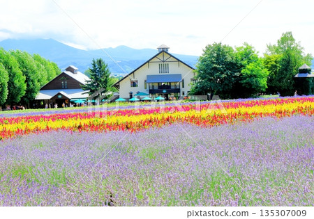 Hokkaido Travelogue: Farm Tomita in August Hokkaido Travelogue: Farm Tomita in August 135307009