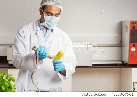 Male lab technician inspecting corn ear with scanner on lab bench near vials, copy space 135307501