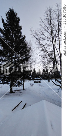 winter park in snow 135307590