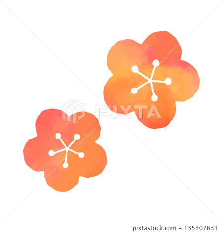 Watercolor style plum blossom Watercolor style plum blossom 135307631
