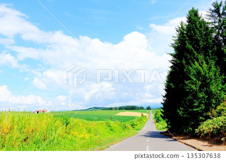 Hokkaido Travelogue: Shujitsu Hill in August 135307638