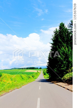 Hokkaido Travelogue: Shujitsu Hill in August 135307639