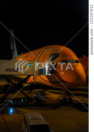 夜間，全日空「海龜號」客機停在成田機場。 135307812