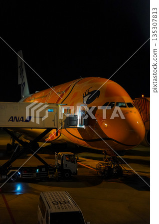 ANA Flying Honu at night at Narita Airport. A parked plane. ANA Flying Honu at night at Narita Airport. A parked plane. 135307813