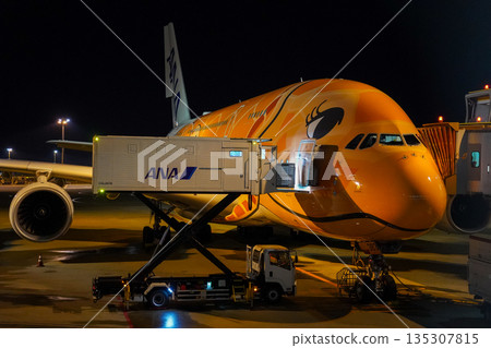 ANA Flying Honu at night at Narita Airport. A parked plane. ANA Flying Honu at night at Narita Airport. A parked plane. 135307815
