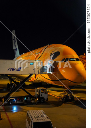 夜間，全日空「海龜號」客機停在成田機場。 135307824