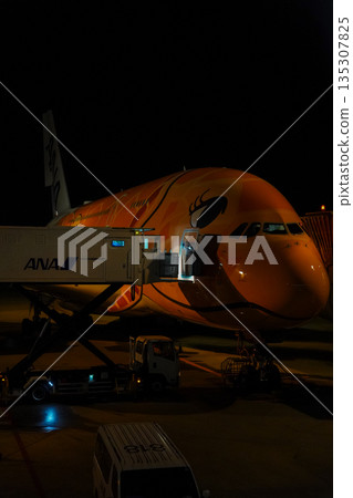 ANA Flying Honu at night at Narita Airport. A parked plane. 135307825