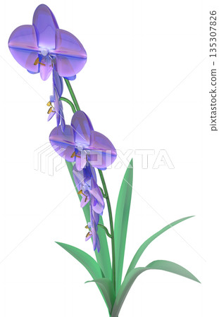 玻璃蘭花 135307826