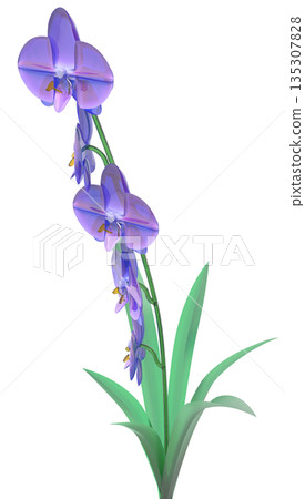 玻璃蘭花 135307828