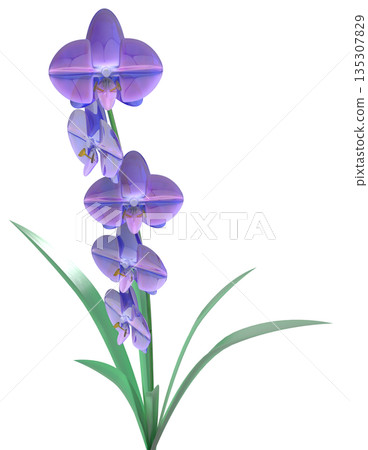玻璃蘭花 玻璃蘭花 135307829
