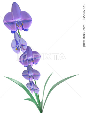 玻璃蘭花 135307830