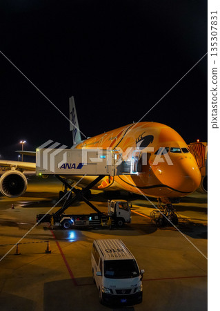 夜間,全日空「海龜號」客機停在成田機場。 夜間,全日空「海龜號」客機停在成田機場。 135307831