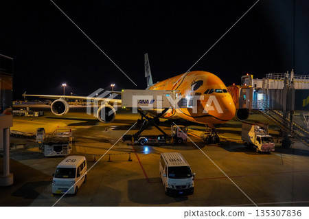 ANA Flying Honu at night at Narita Airport. A parked plane. 135307836