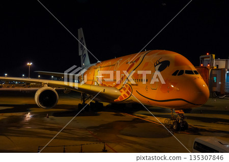 夜間，全日空「海龜號」客機停在成田機場。 135307846